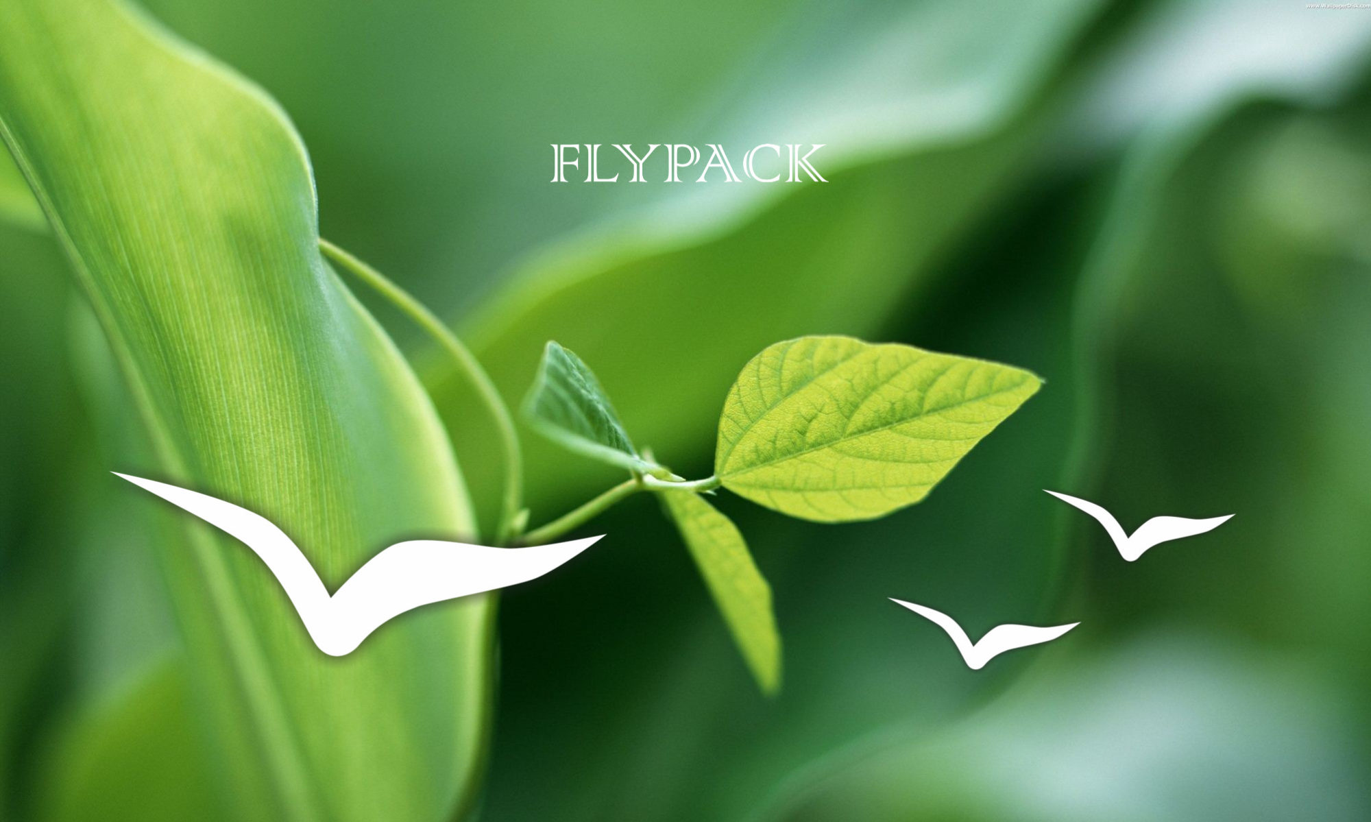 Flypack